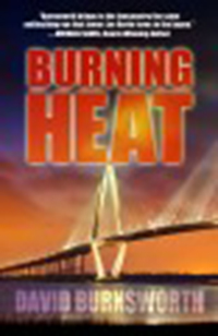 Burning heat / David Burnsworth