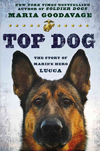 Top dog : the story of marine hero Lucca