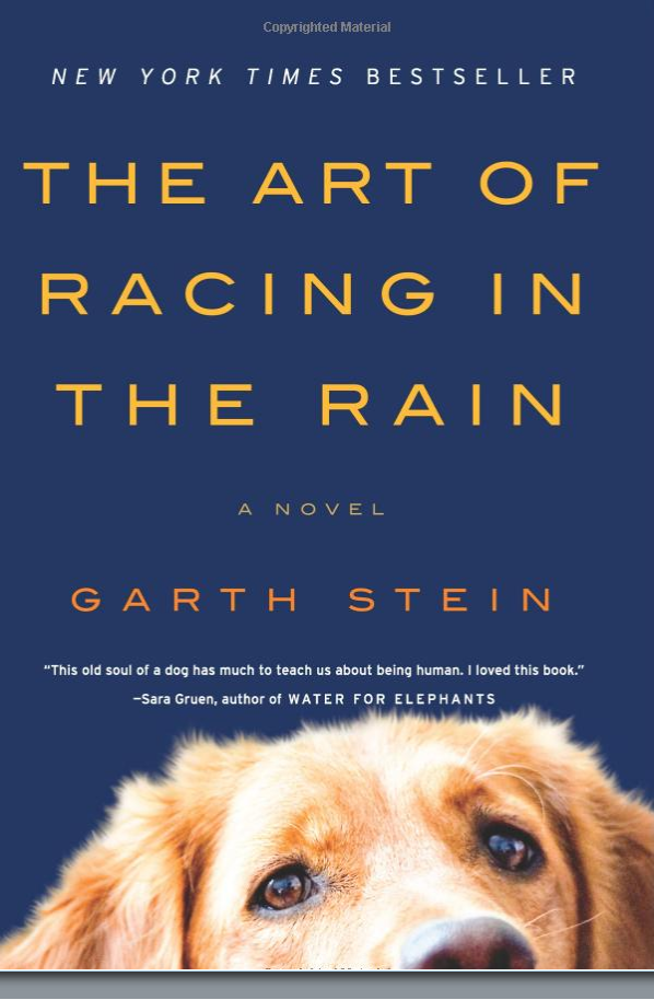 The Art of Racing in The Rain